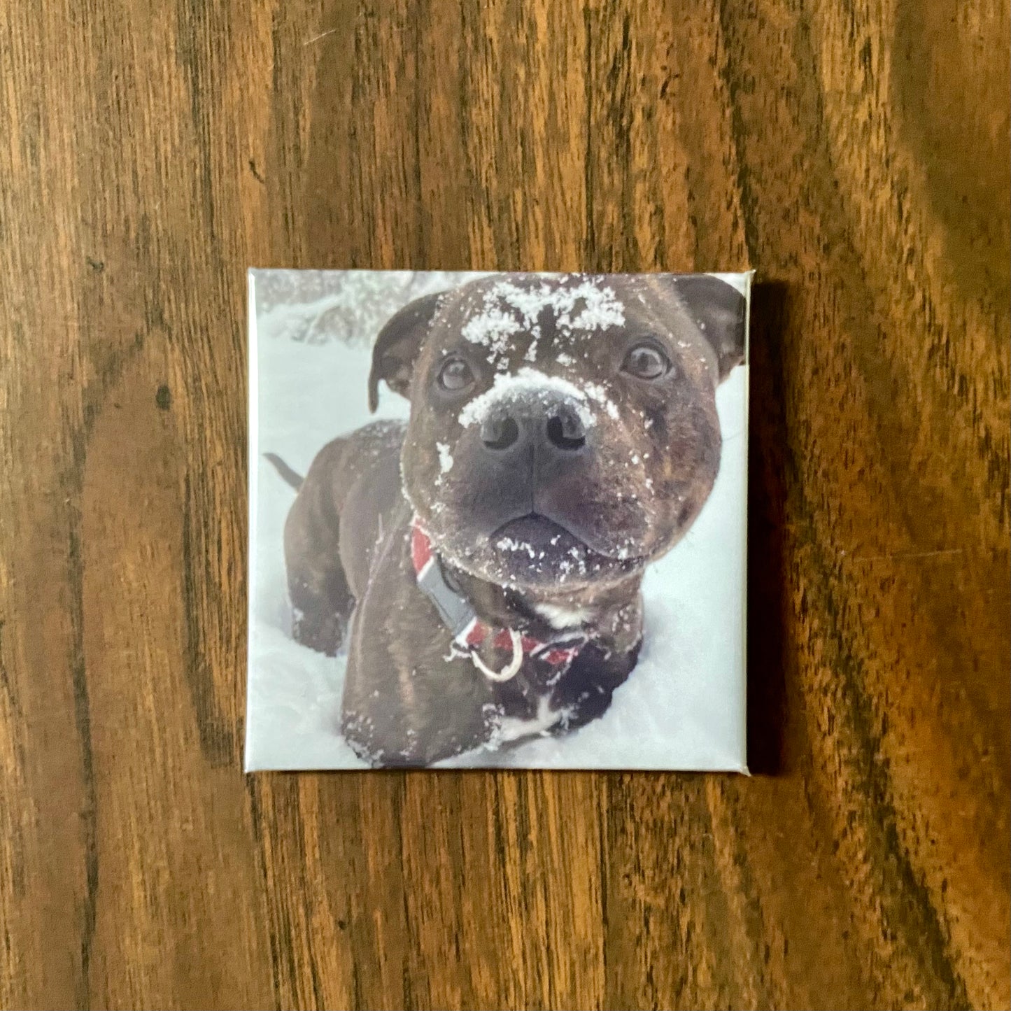 Square Magnet Sample